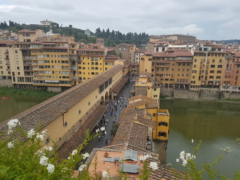 Ponte Vecchio Firenze visto dall'alto: fiori bianchi in primo piano e l'Arno — prospettiva insolita del centro storico
